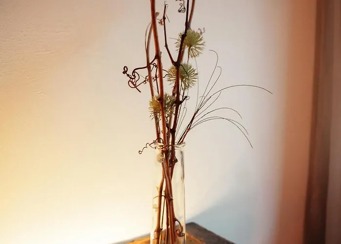 Moselblickhaus アパート